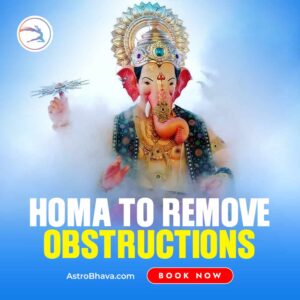Homa - Obstruction Removal